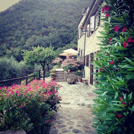 Farmhouse B&B Castagnola 64 Ne Eksteriør bilde