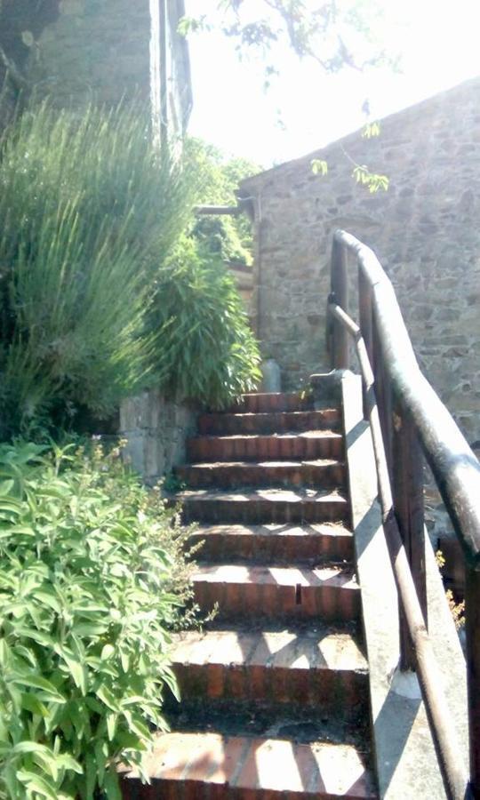 Farmhouse B&B Castagnola 64 Ne Eksteriør bilde